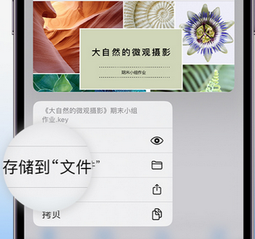 塔城apple维修中心分享iPhone文件应用中存储和找到下载文件