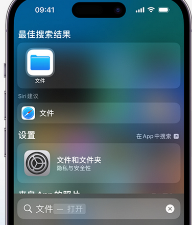 塔城apple维修中心分享iPhone文件应用中存储和找到下载文件 