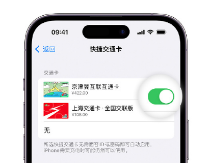 塔城apple维修点分享iPhone上更换Apple Pay快捷交通卡手绘卡面 