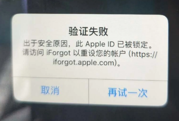 塔城iPhone维修分享iPhone上正常登录或使用AppleID怎么办 