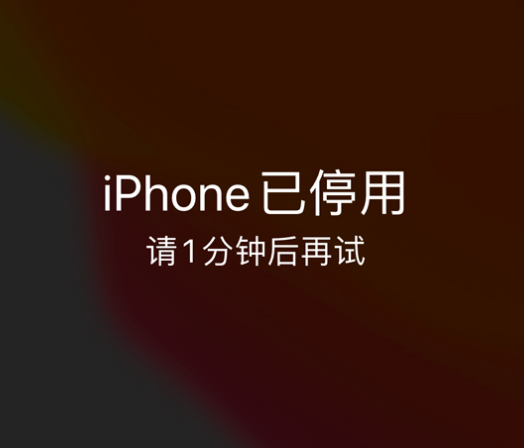 塔城苹果手机维修分享:iPhone 显示“不可用”或“已停用”怎么办？还能保留数据吗？ 