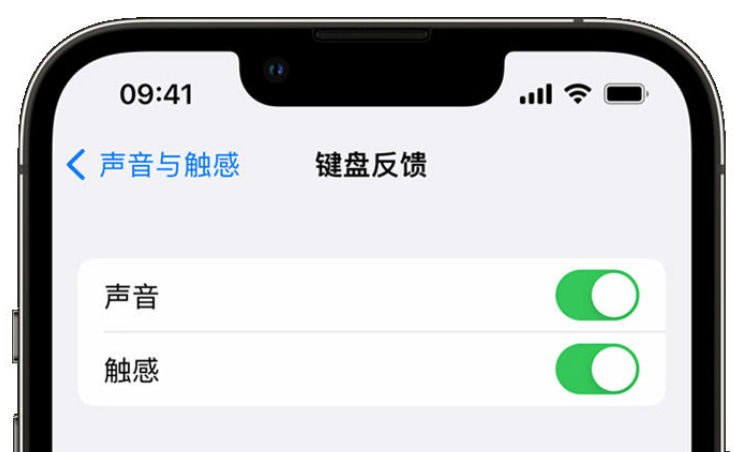 塔城苹果手机维修分享iPhone 14触感键盘使用方法 