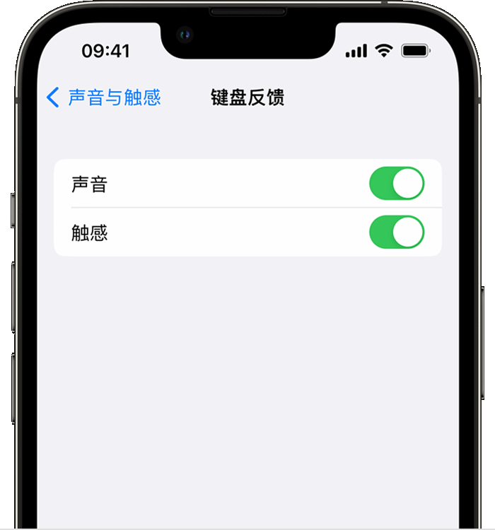 塔城苹果14维修店分享如何在 iPhone 14 机型中使用触感键盘 