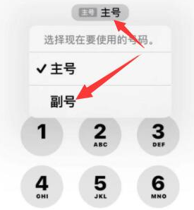 塔城苹果14维修店分享iPhone 14 Pro Max使用副卡打电话的方法 