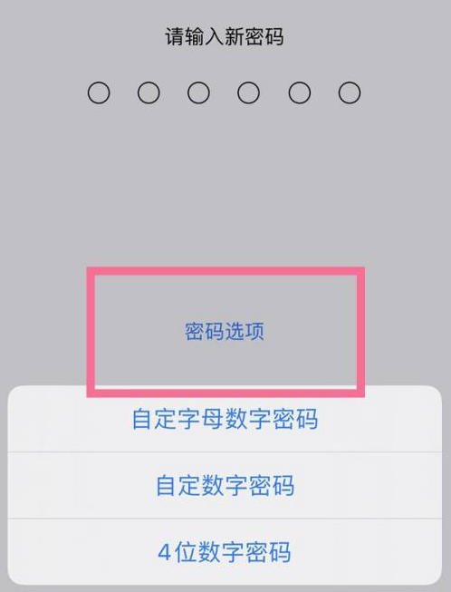 塔城苹果14维修分享iPhone 14plus设置密码的方法 