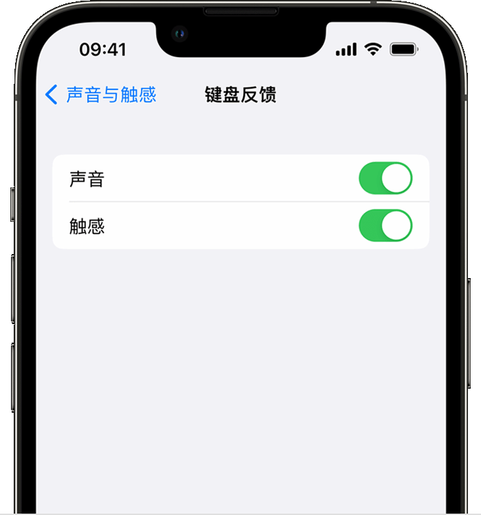 塔城苹果14维修分享iPhone 14 系列机型如何开启键盘声音或触感反馈 