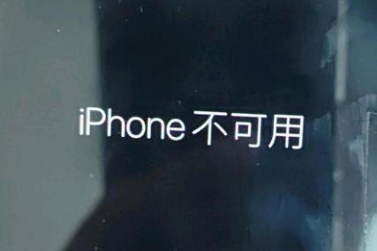 塔城苹果服务网点分享锁屏界面显示“iPhone 不可用”如何解决 