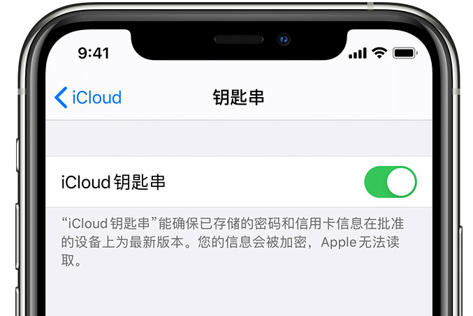 塔城苹果手机维修分享在 iPhone 上开启 iCloud 钥匙串之后会储存哪些信息 