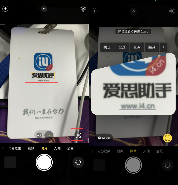 塔城苹果手机维修分享升级iOS 16后如何通过相机翻译文本 
