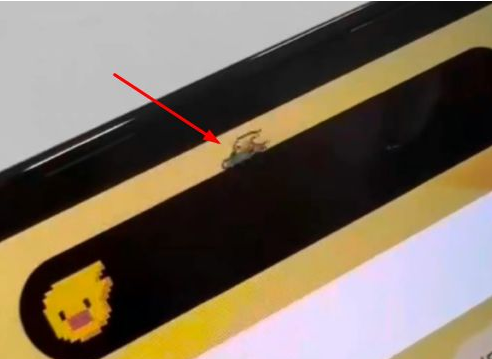 塔城苹果14维修分享iPhone 14 Pro Max灵动岛怎么养宠物 