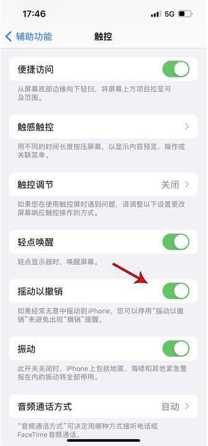 塔城苹果手机维修分享iPhone手机如何设置摇一摇删除文字 