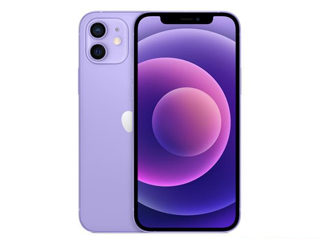 塔城苹果手机维修分享现阶段要不要入手紫色版iPhone12 