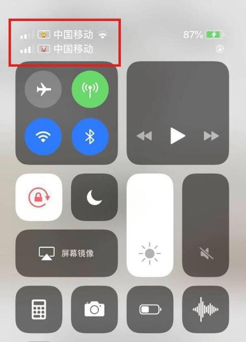 塔城苹果手机维修分享为 iPhone 12 双卡设置标签 