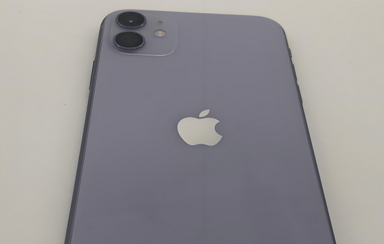 塔城苹果11系统维修分享iPhone11手机系统崩溃无法开机如何解决 